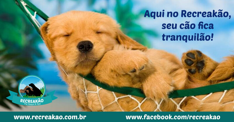 RECREAKÃO Pet Resort & Spa, Embu das Artes