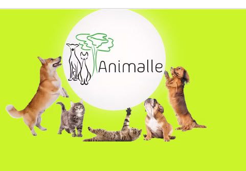 Animalle - Clinica veterinária, Paraíso