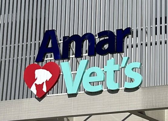 AmarVet´s, Moema