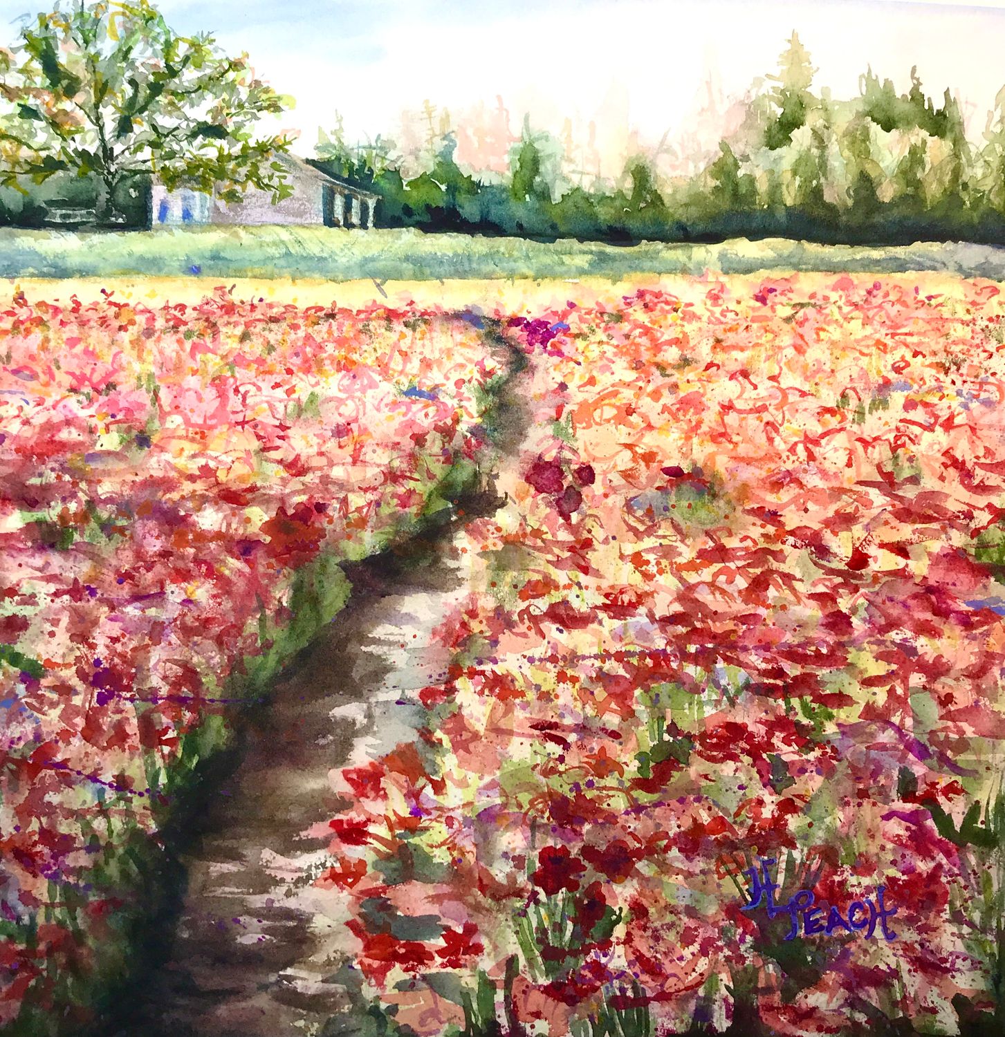 Watercolor Floral Painting Workshop with Heidi-Lee Peach- Workshop Wednesdays-Daytime