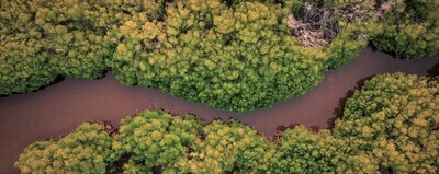 No to Gold-Mining in Amazonia