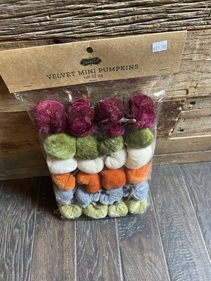 Velvet Tiny Pumpkin Set