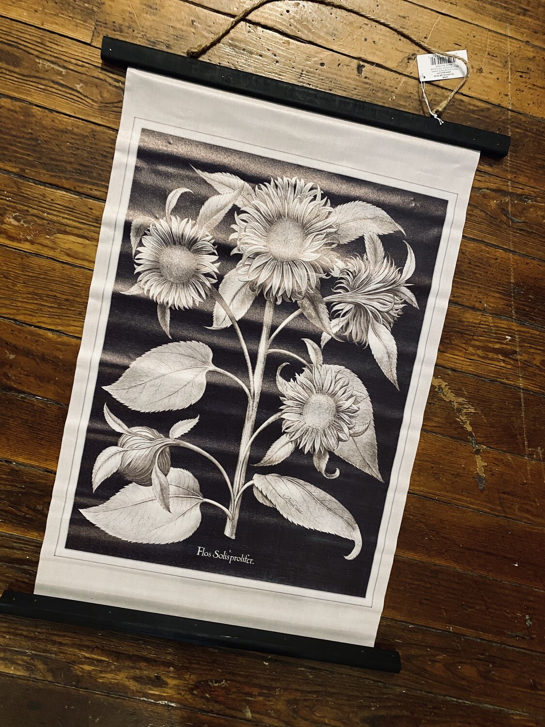 Printed Sunflower Scroll