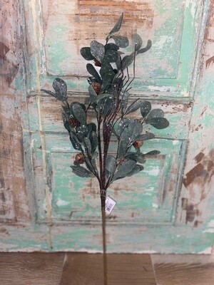 Eucalyptus Spray Foam Pinecone