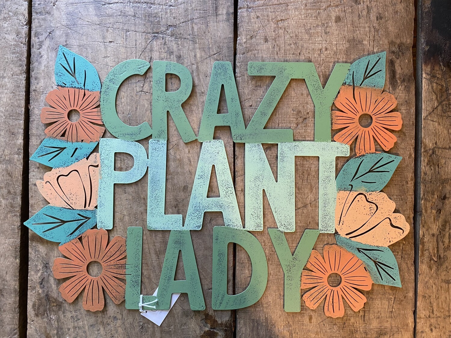 Crazy Plant Lady Wall Decor