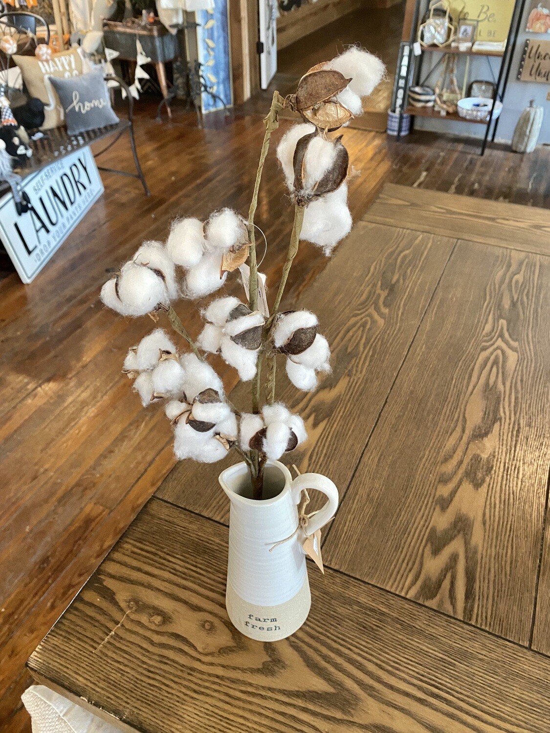 Cotton Stems