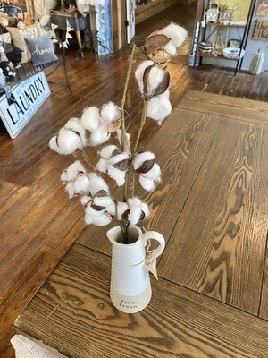 Cotton Stems