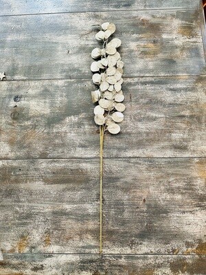 Silver Eucalyptus Flower Filler
