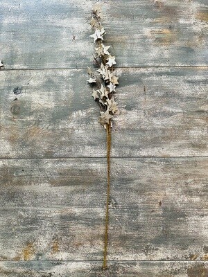 Star Flower Filler