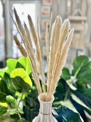 Preserved Bleached Bouquet