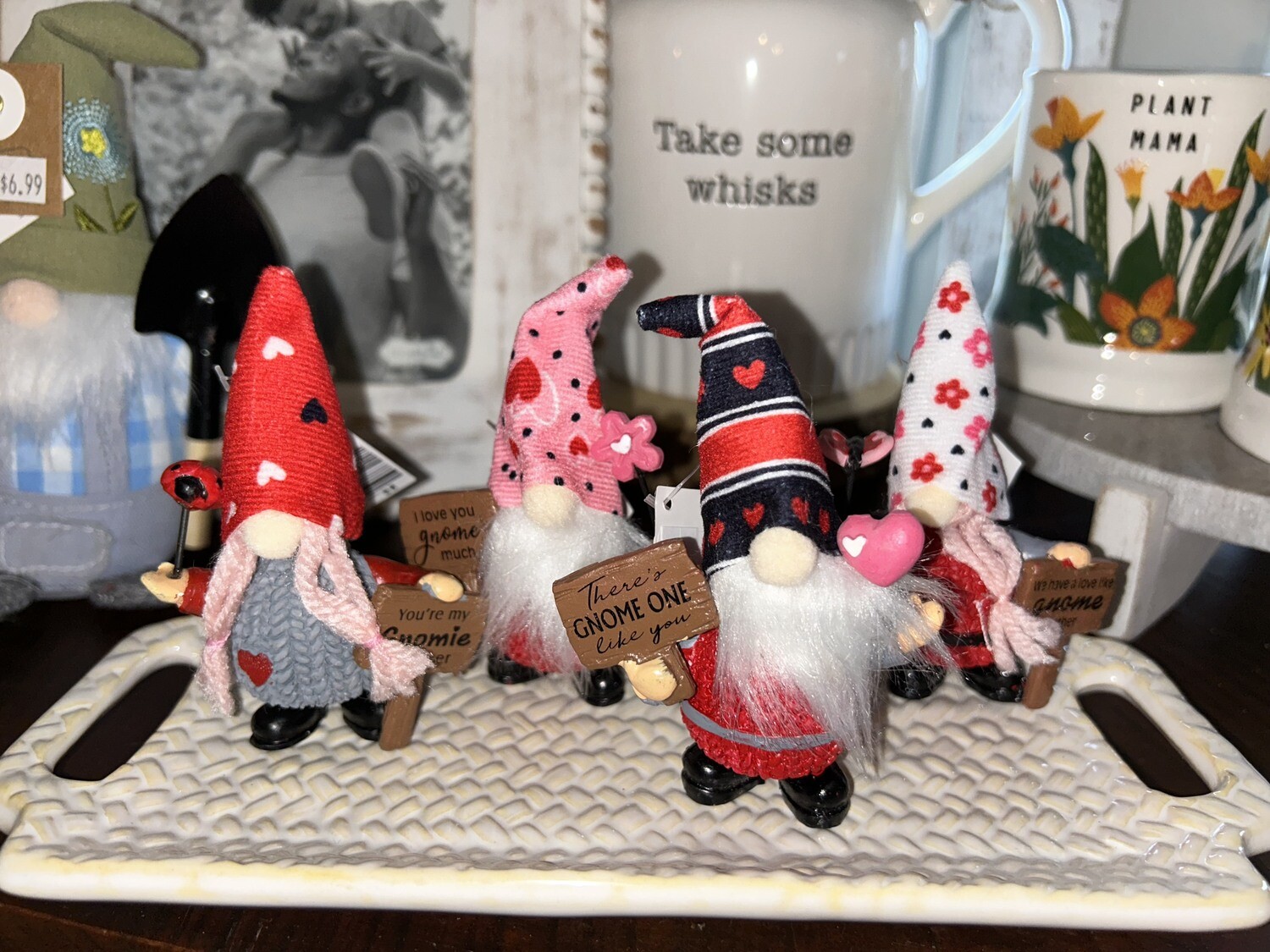 Be My Gnome Sitters