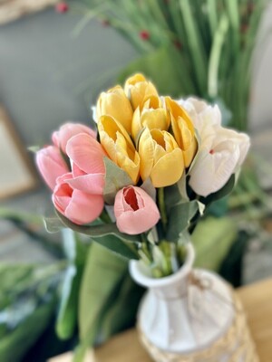 Tulip Bundle