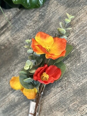 Poppy Flowers
