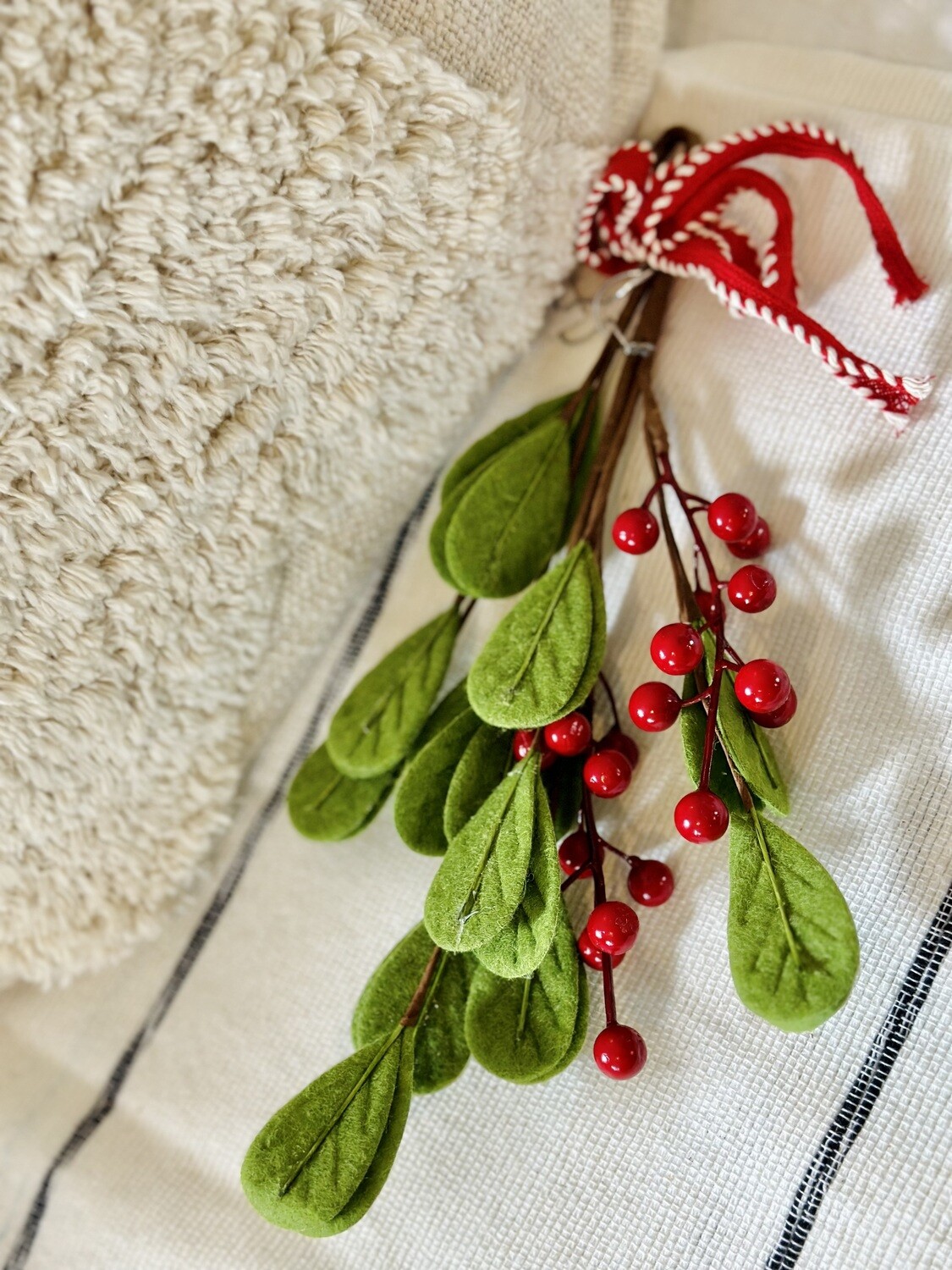 Mistletoe Door Hanger