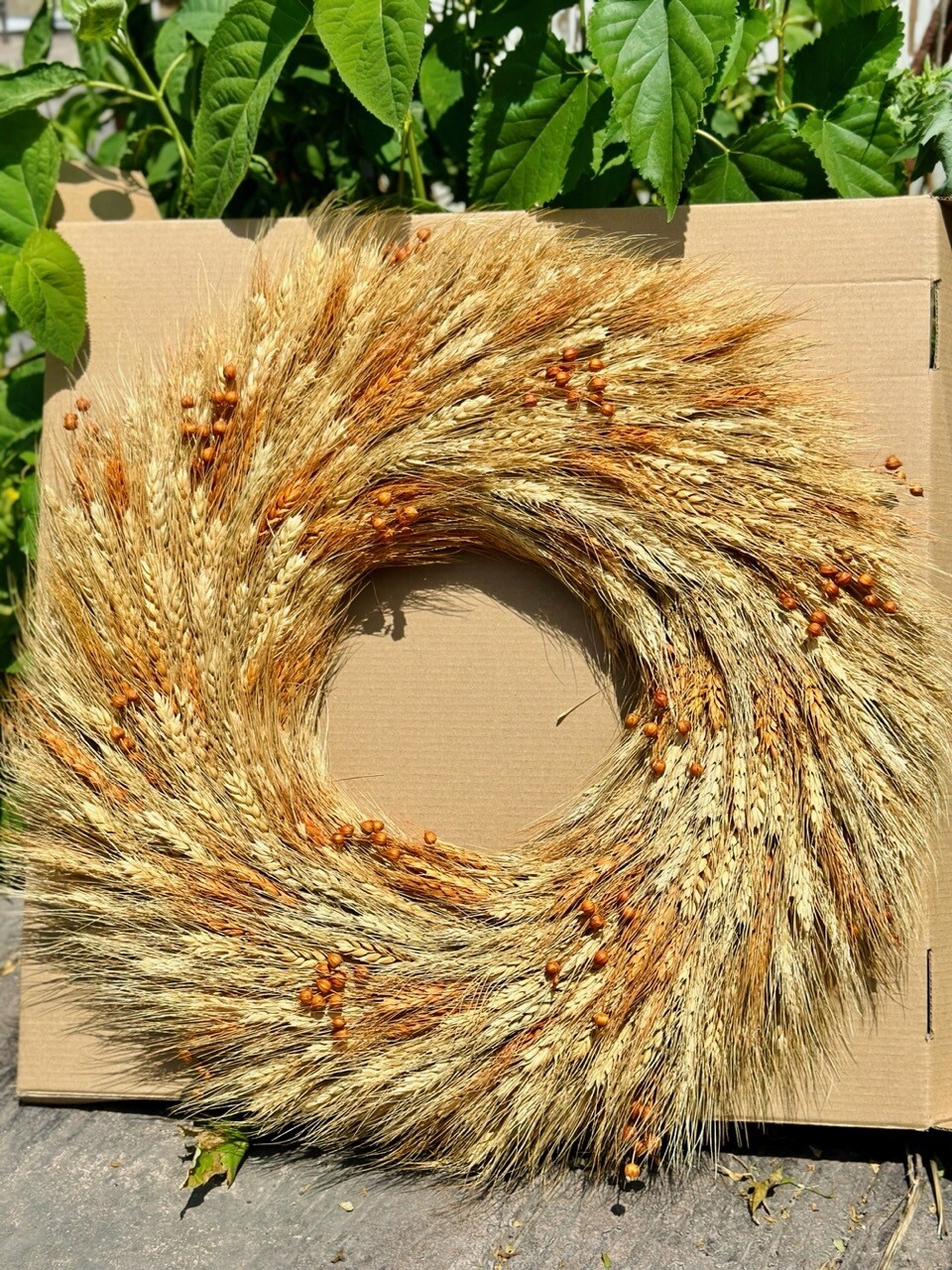 Preserved Fall Wheat Wreath