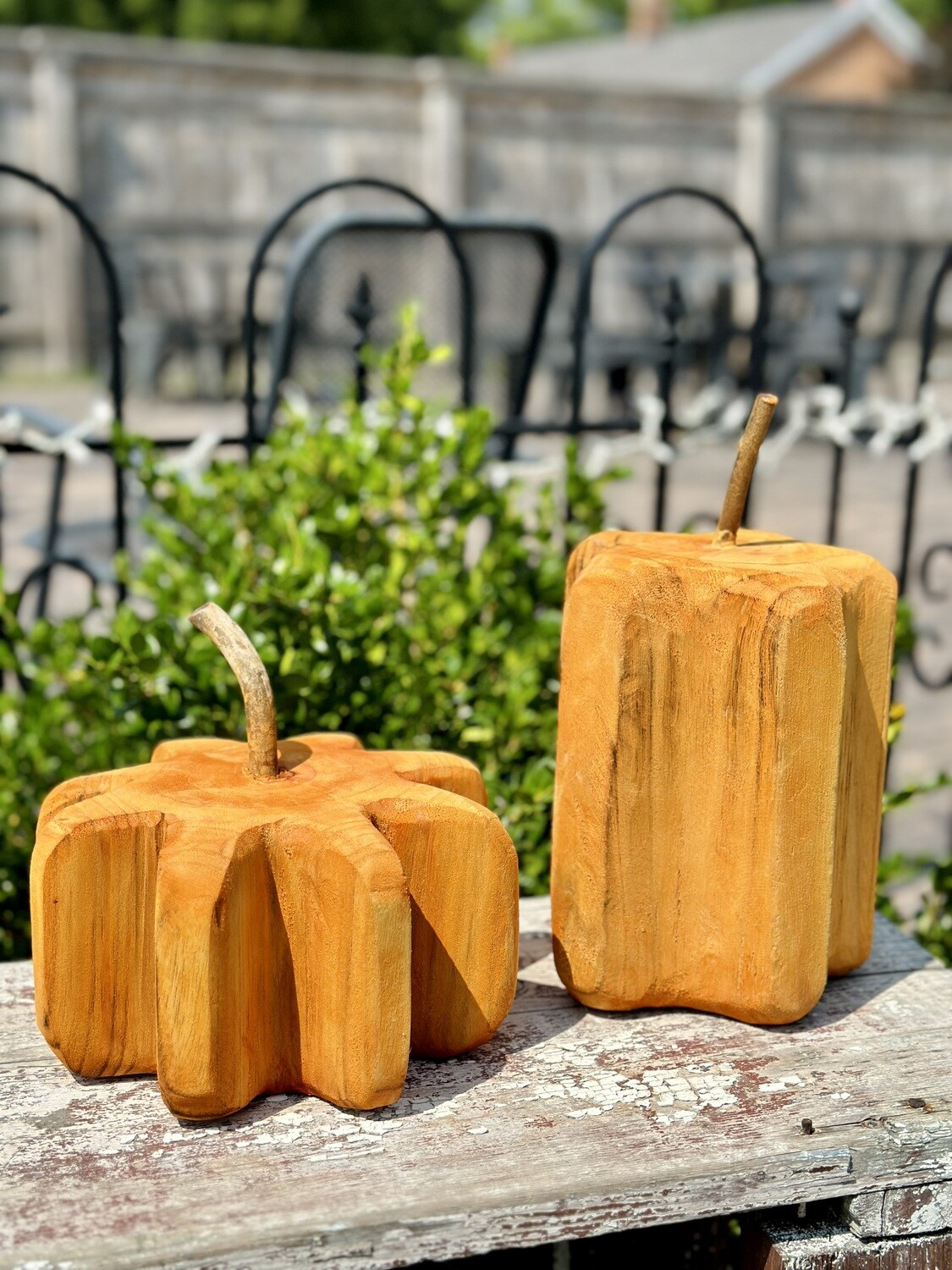 Paulownia Pumpkin Sitters