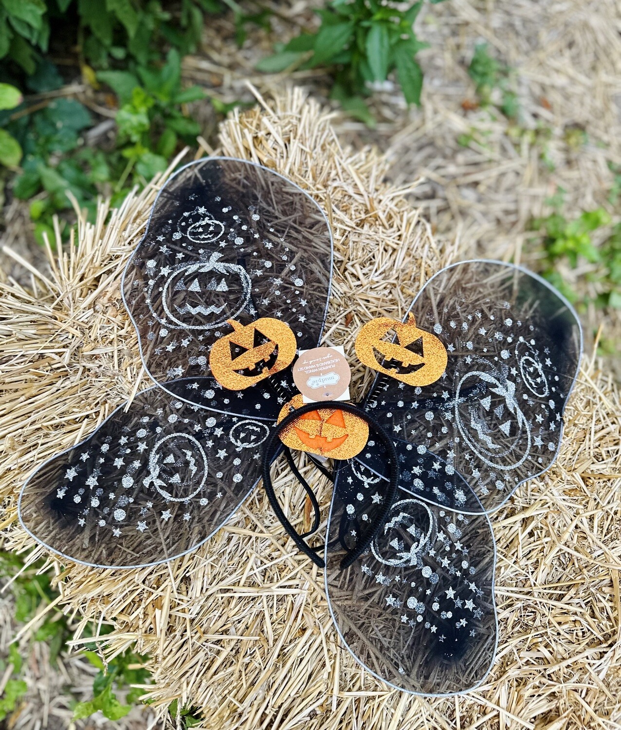 Pumpkin Bat Wing Set
