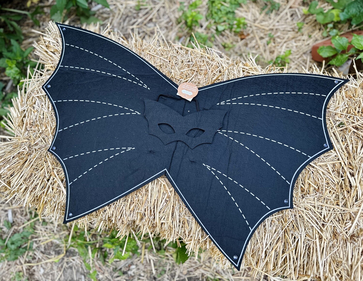 Light Up Bat Wing Set