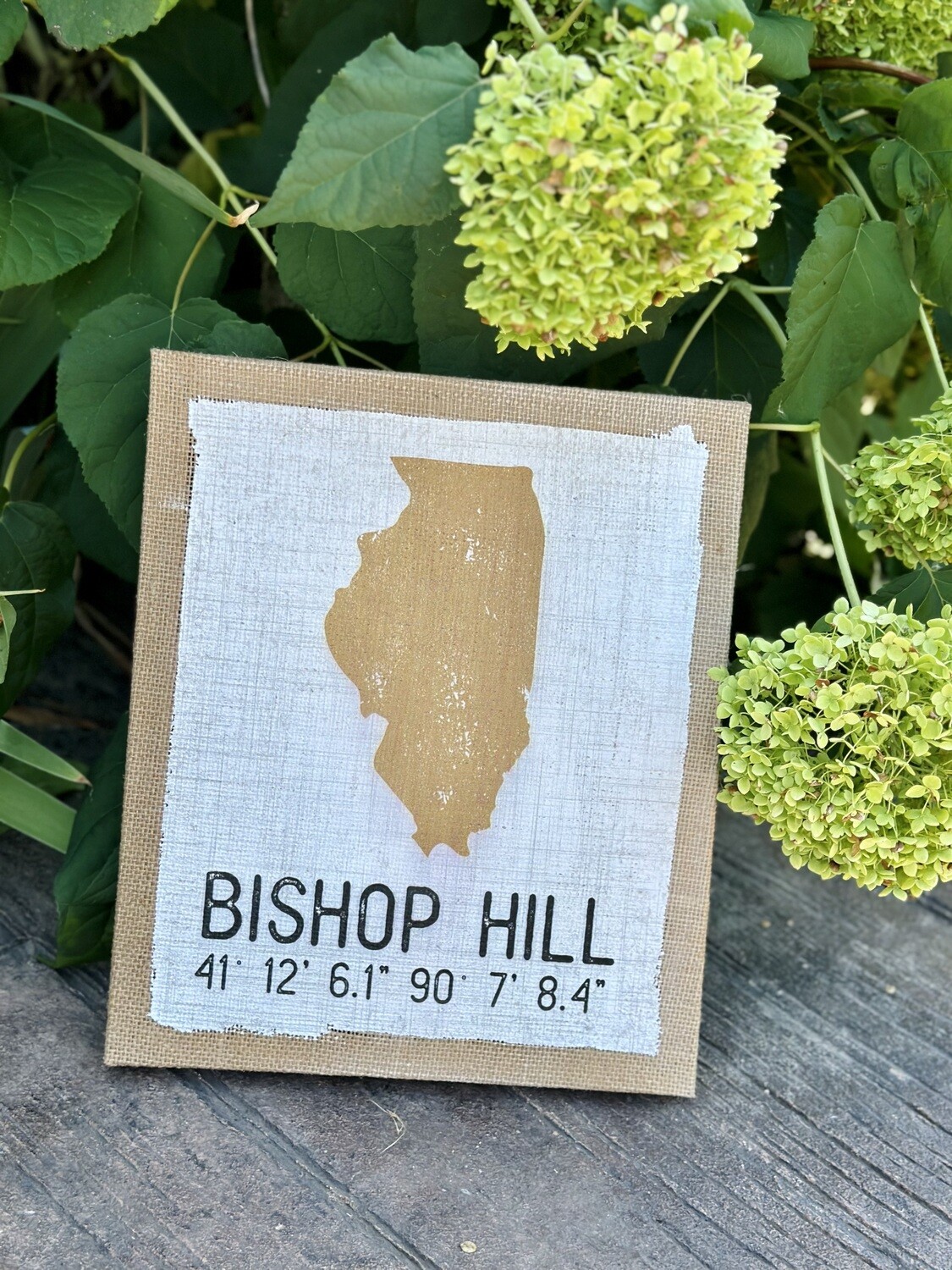 State Bishop Hill Coordinates Sign