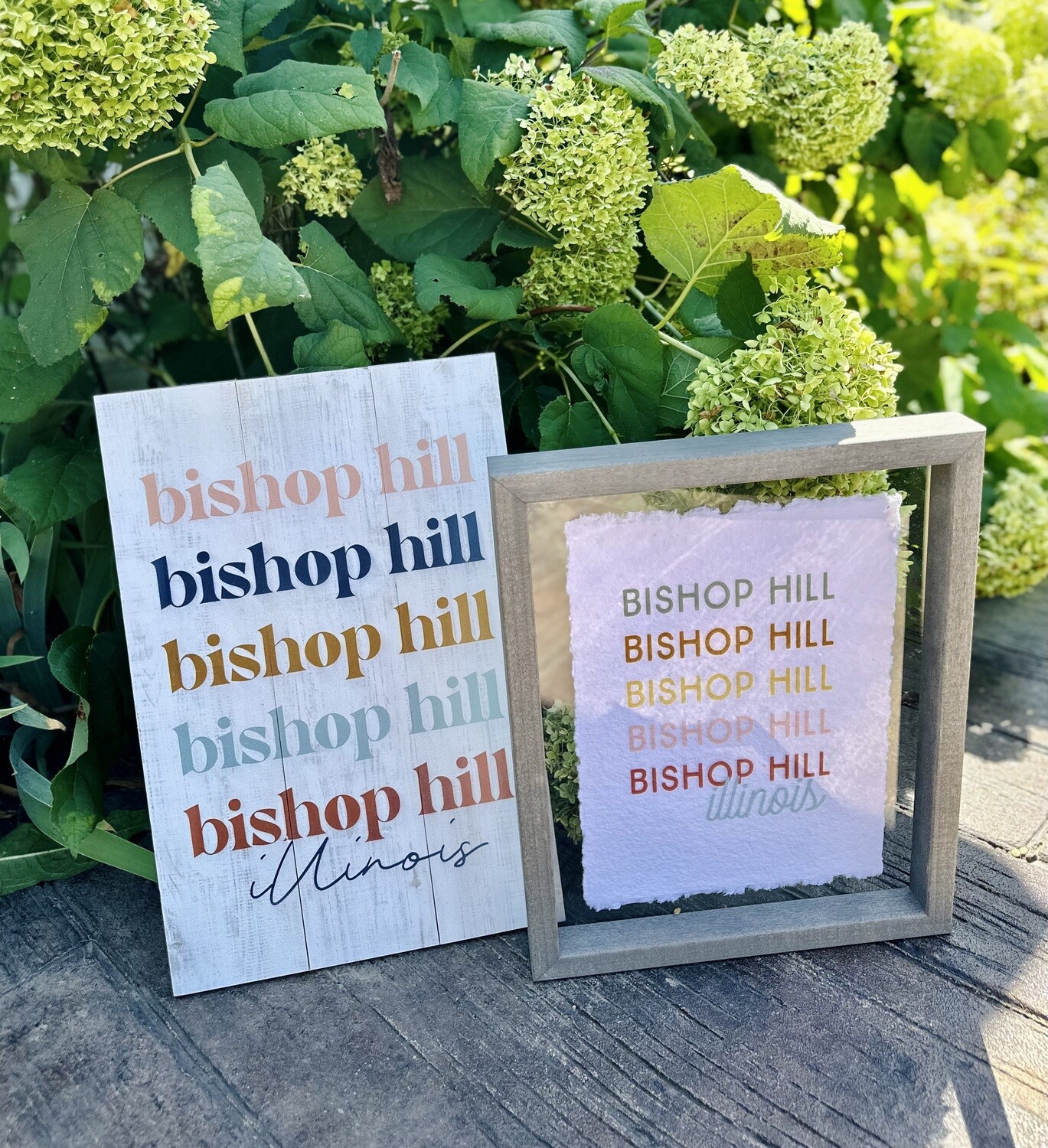 Colorful Bishop Hill Sign