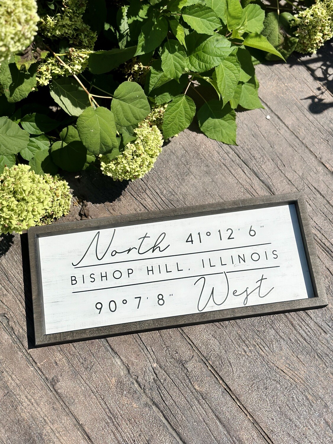 Bishop Hill, IL Coordinates Sign