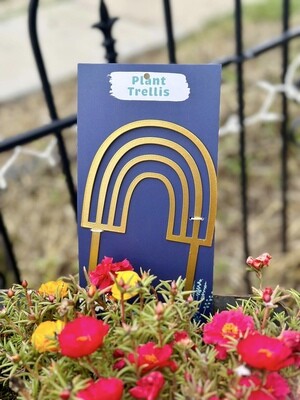 Rainbow Plant Trellis