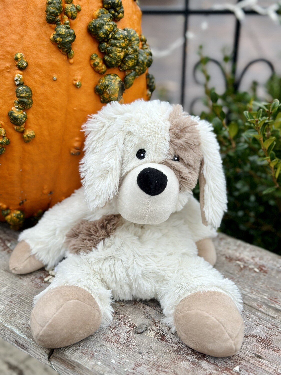 Puppy Warmie
