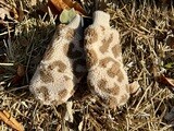 Sherpa Leopard Mittens 