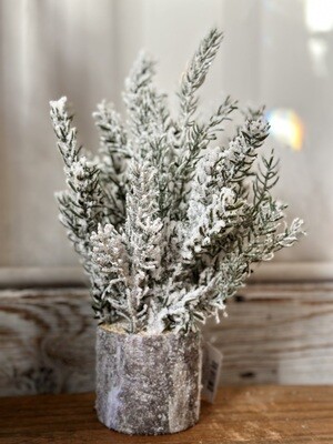 Frosted Christmas Tree