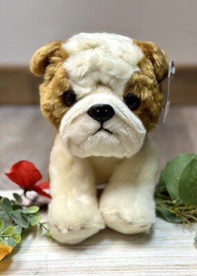 Heritage Bulldog