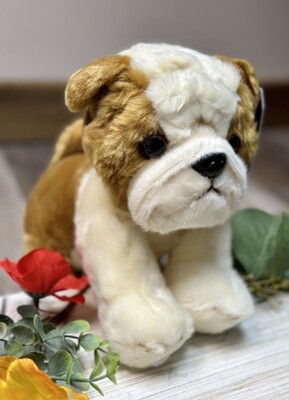 Heritage Bulldog
