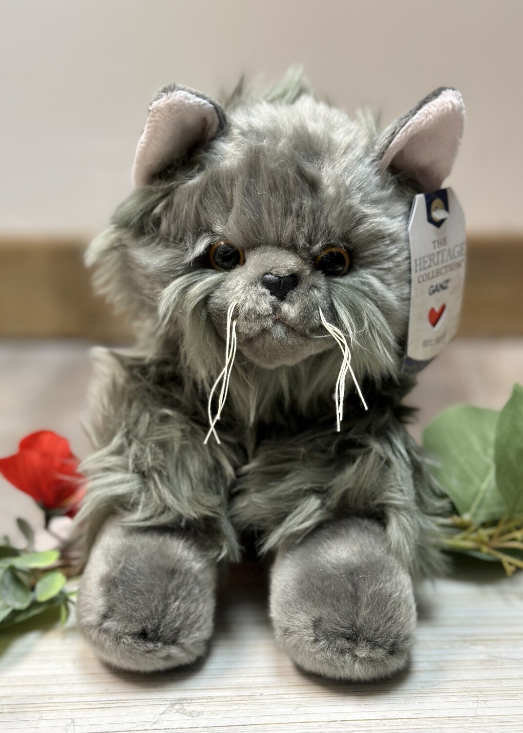 Heritage Persian Cat