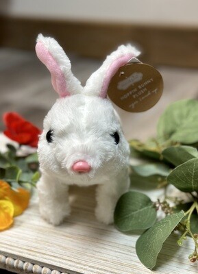 Mechanical Bunny
