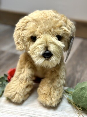 Heritage Labradoodle