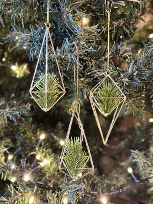 Terrarium Ornament