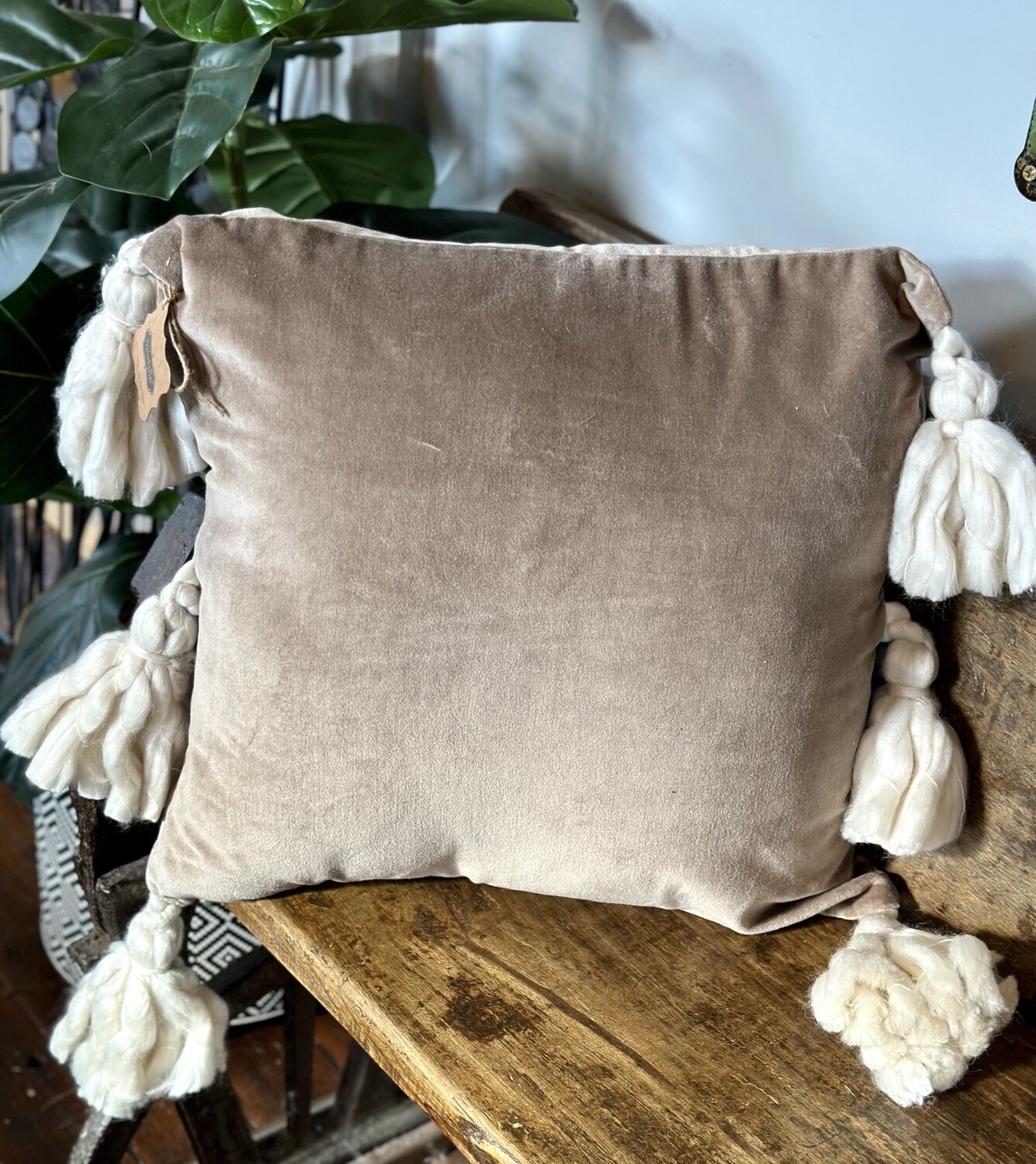 Taupe Tassel Velvet Pillow 