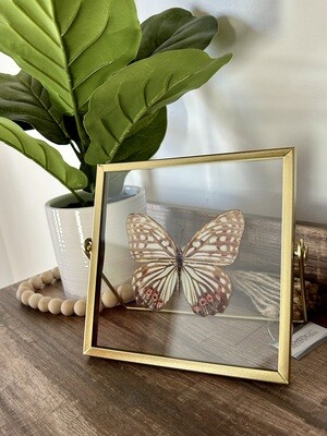 Butterfly Glass Decor Frame