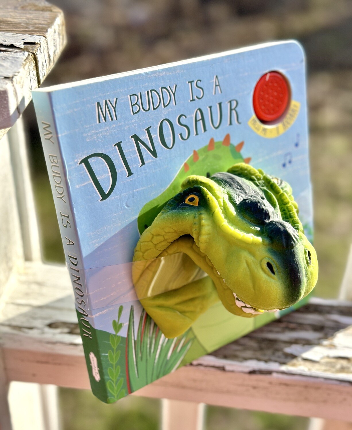 Dinosaur Puppet Book