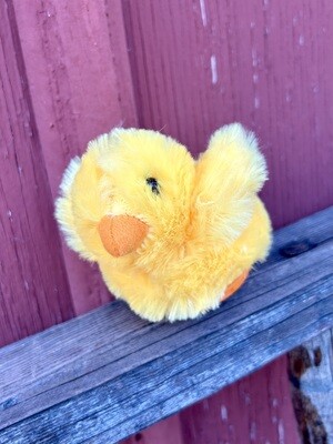 Sweet Chirping Chicks