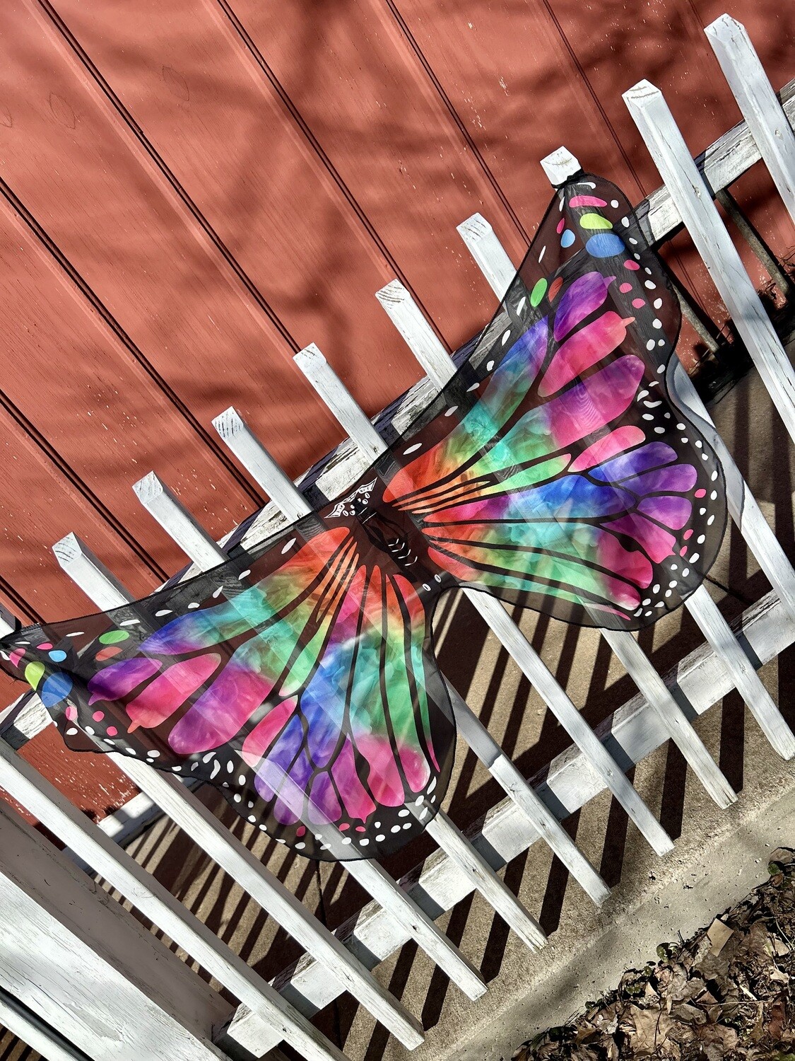 Butterfly Wings