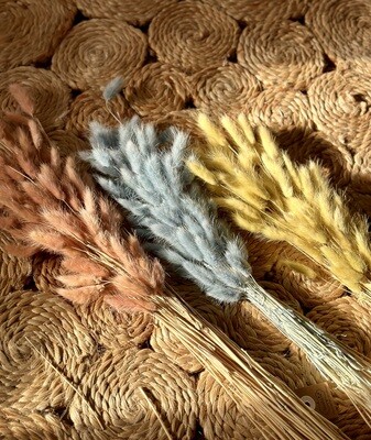 Preserved Bunny Tails