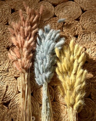 Preserved Bunny Tails