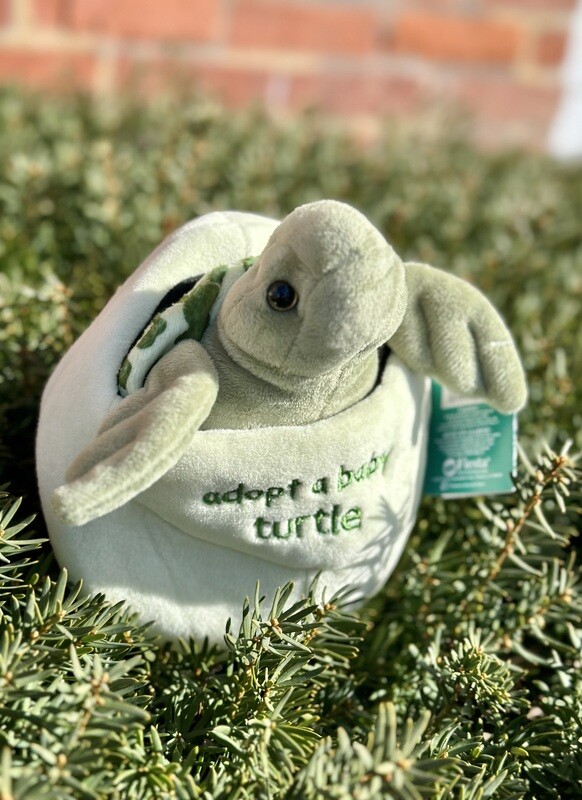 Adopt a Turtle Stuffed Animal