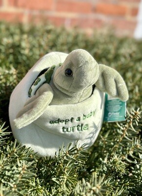 Adopt a Turtle Stuffed Animal