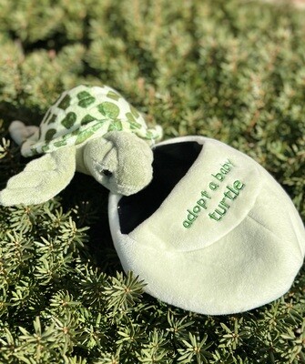 Adopt a Turtle Stuffed Animal