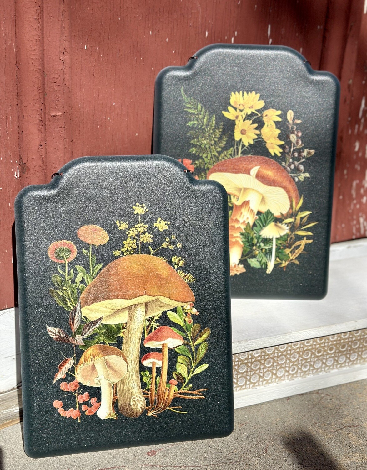 Mushroom Signs