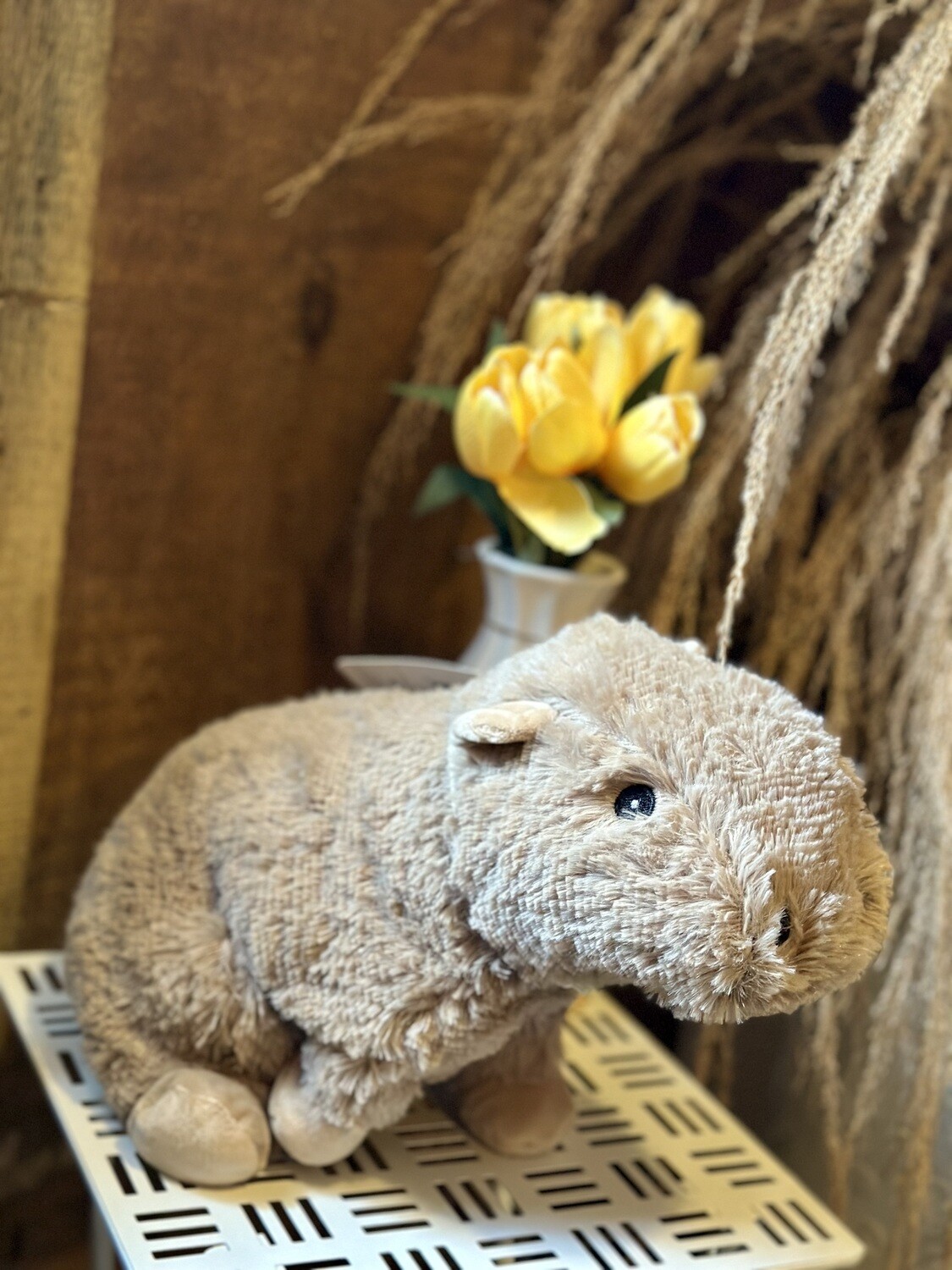Capybara Warmie