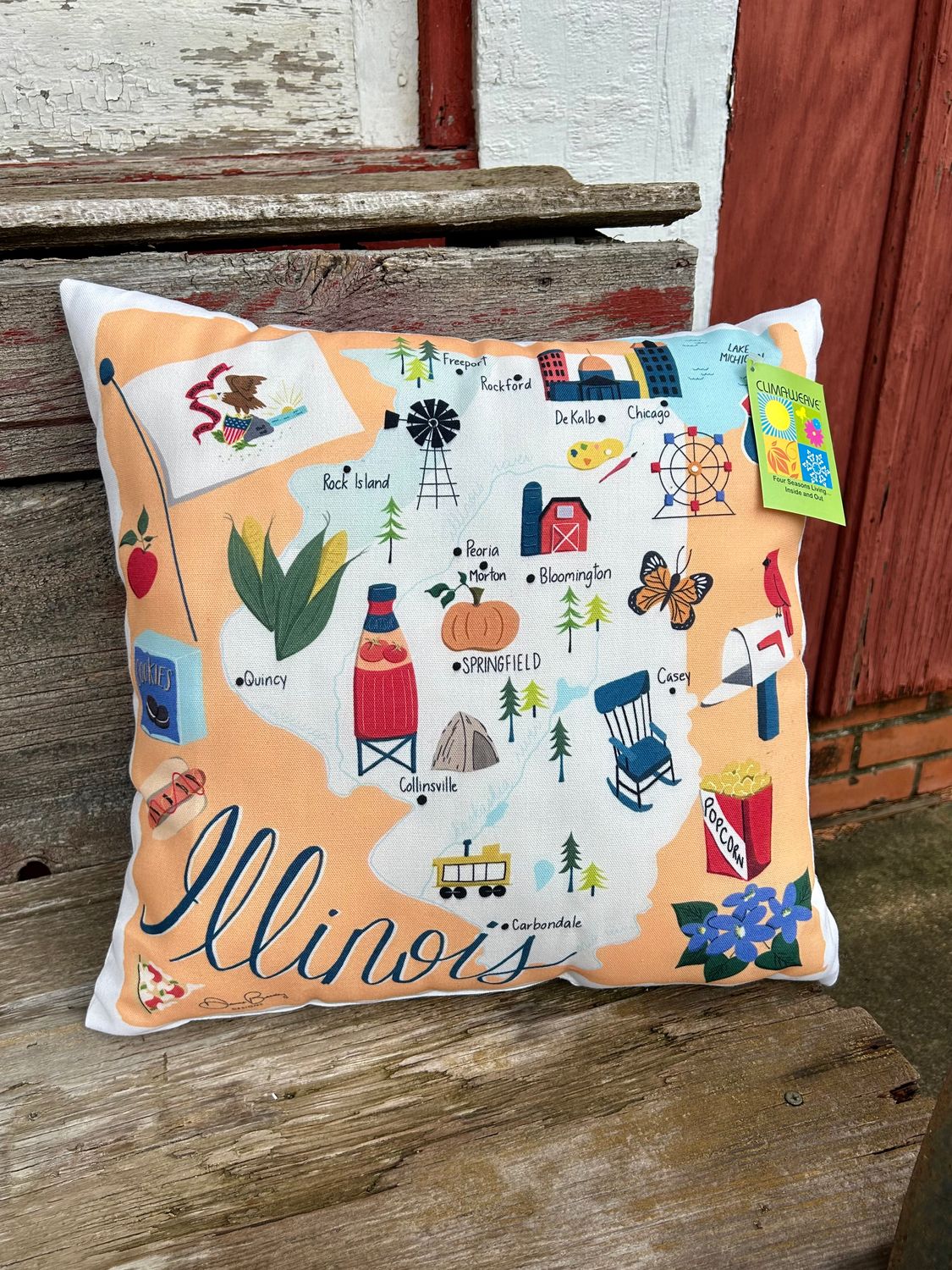 Illinois Map 18&quot; Pillow