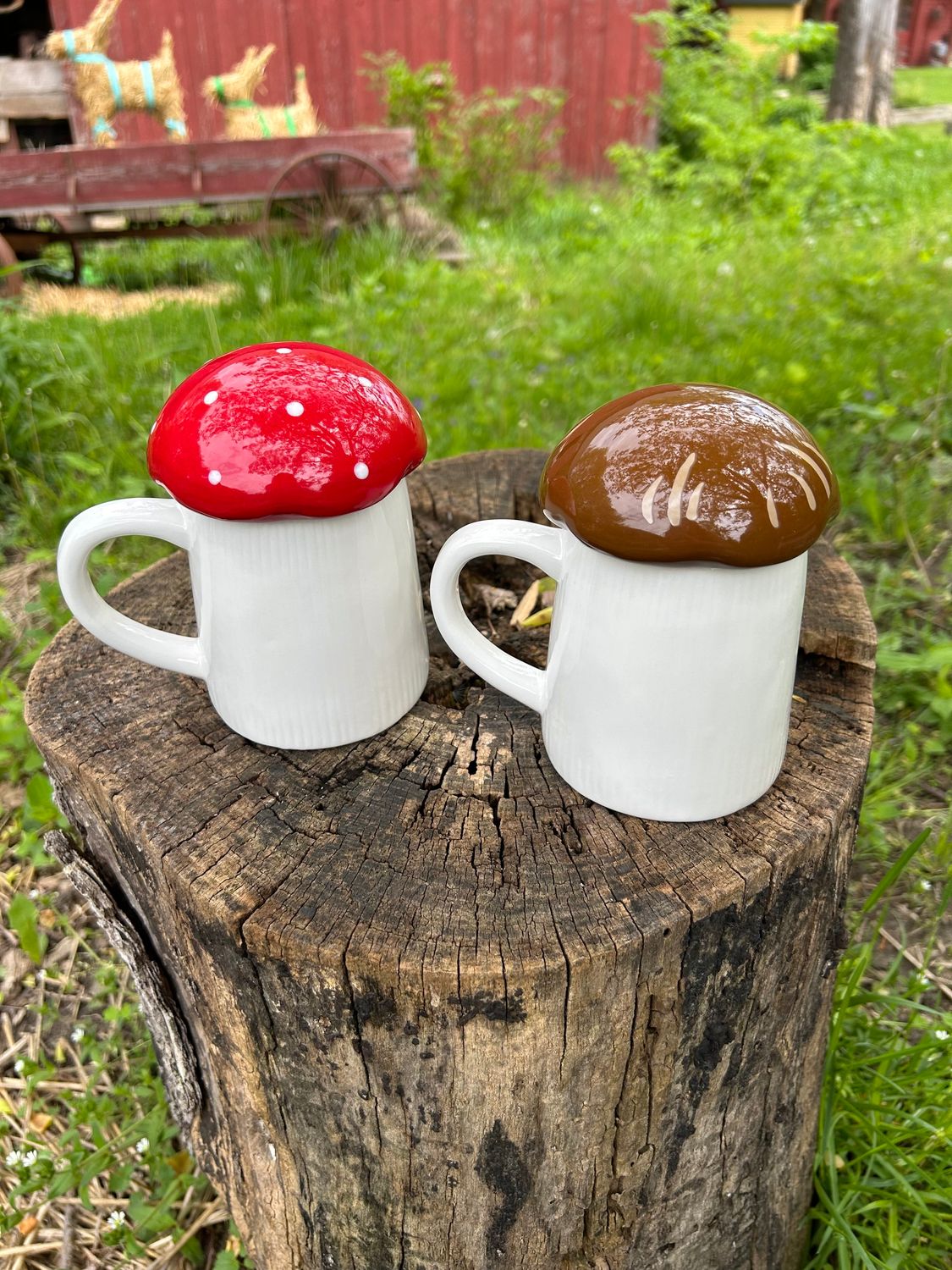 Mushroom Mugs/Lids