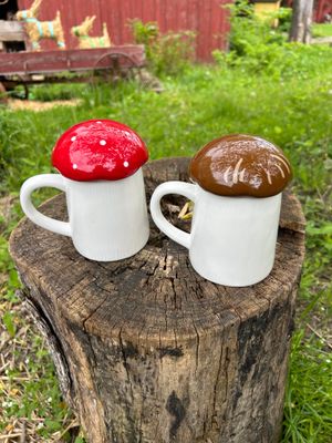 Mushroom Mugs/Lids